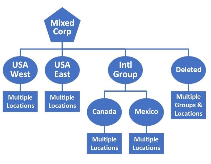 CM-S3-Org-Structure-Mixed.jpg