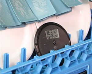 ThermoWorks-DishTempBlue-WP04.jpg