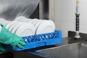 ThermoWorks-DishTempBlue-WP01.jpg